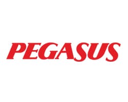 Pegasus